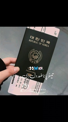 Applying for a Korea Visa: Tips and Insights