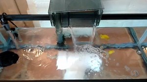 16K views · 182 reactions | It's extremely important to provide...