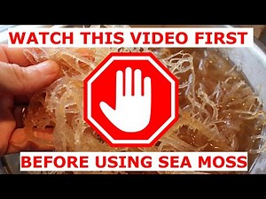 Sea Moss: Benefits and Side Effects You Need to Know!