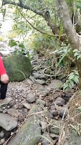 Naging monkey na ako🤣🤣 #nagingmongkeynaako | Mercy Berdehiya Villaruel