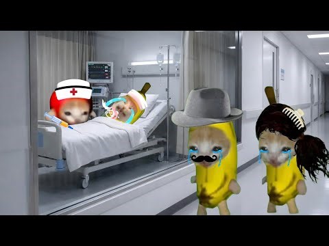 Banana cat crying not happy compilation 489 #babybananacat #happycat #catmemes #bananacat