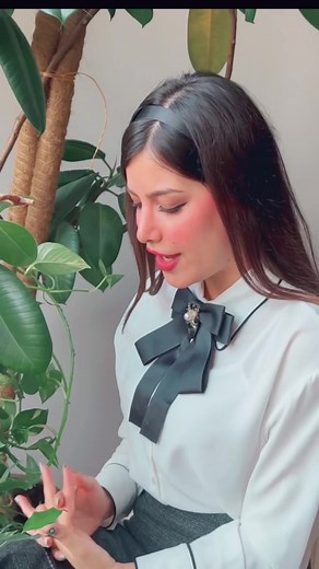 Discover the Latest Tablet Offers and Features