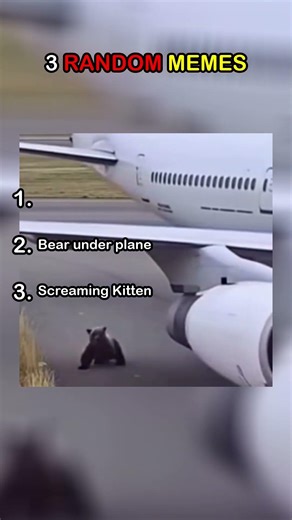 3 RANDOM MEMES | PART 33