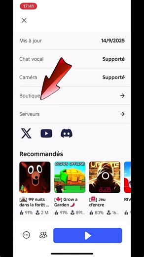 Comment aller sur un serveur priver