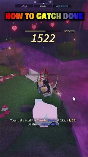 How to catch dove in FISCH #fisch #roblox