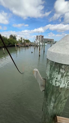 3.7K views · 21 reactions | Showtime Speedway on Reels | Facebook