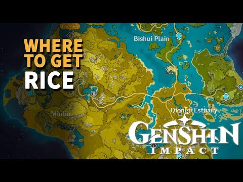How to get Rice Genshin Impact