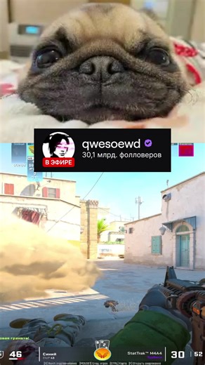 Твич: qwesoewd #рек #твичмоменты #helin139 #rostikfacekid #кс2моменты