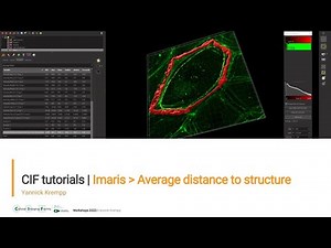 CIF Tutorials | Imaris : Average distance to structure