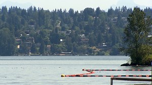 How to know when Washington beaches are safe from bacteria