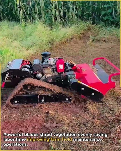 Tracked brush cutter machine work.