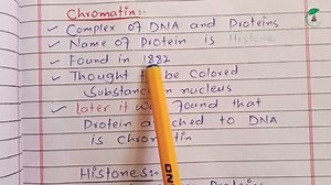 1.3K views · 86 reactions | Chromatin structure, forms of chromatin and differences between euchromatin and heterochromatin | HOB | Facebook