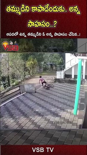 Brother's adventure to save his younger brother #vsbtv #LatestNews #viralvideosFacebook #LatestUp...