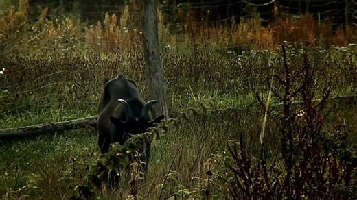 Light Gradient 2009 engsub — Видео от Emman Landagan