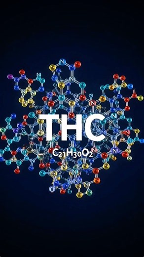 THC vs THCA vs HHC vs CBD 🌿 What’s the Difference? Explained Simply!