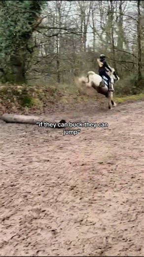 Understanding the Spice of Bucking Horses