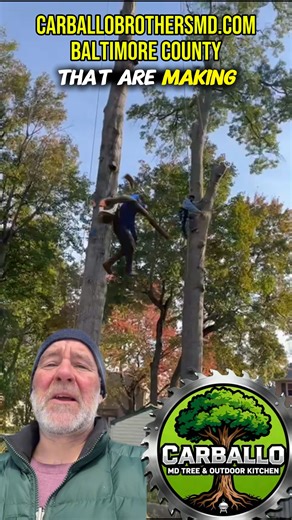 13 reactions | Most tree companies charge extra just to cover their...