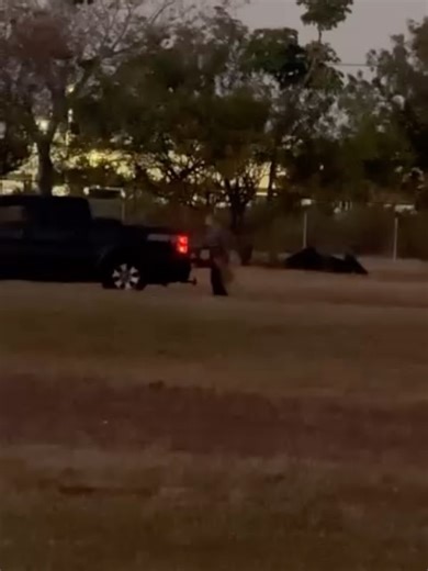 Homestead | Florida City on Instagram: "🚨 WARNING 🚨 VIEWER DISCRETION IS ADVISED “I was going for my daily run around 6PM at the California Ave, Homestead, FL 33032, United States. Next to air force base and seen a tall bald man, flannellongsleeve , blue jeans aggressively beat his dog. We approached him to ask what’s wrong if he didn’t want the dog we can take him. He lashes out aggressively and threatens me and my wife. So we called cops he followed us around and seemed to have a weapon. So