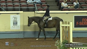 10K views · 207 reactions | Madeline Keyes and Classic Circle claimed the world championship in hunter hack at the #AQHYAWorld!  AQHA Judge Laura Norment share her perspective and walks us through what it took for the pair to #GetThatGlobe. Ford Trucks | American Quarter Horse Association | Facebook