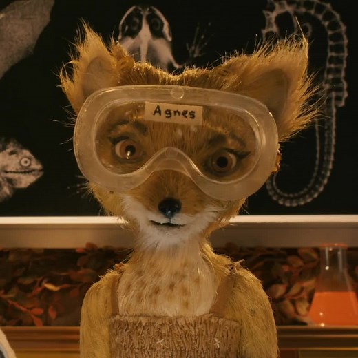 Explore the Whimsical World of Agnes and Fantastic Mr. Fox