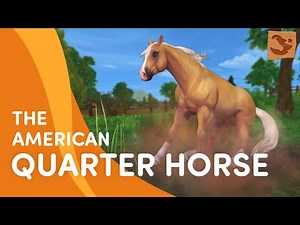 Star Stable adds new mounted games and animal herding activities to its latest location | Massively Overpowered