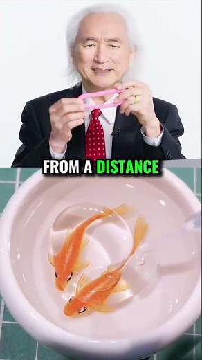 Michio Kaku on the Mind-Blowing Truth of String Theory 🚀