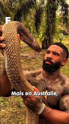 An animal influencer is alienating all of Australia!