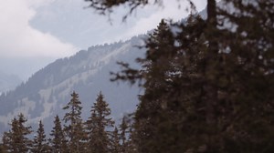 CANON C300 MARK II | 70-200MM | ACR SYSTEMS - THE BEAST GIMBAL