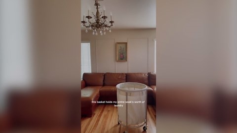 45Gal Round Laundry Sorter Laundry Hamper with Wheels Rolling Laundry Cart with Removable Bag for Laundry Room Gray and Silver