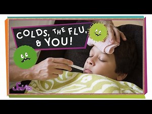 Colds, the Flu, and You