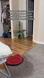 His grumpy face says it all 😂 . . . . . . . #grumpycat #funnycats #catsofinstagram #viralcats #tabbycats #indoorcats #catfluencer #petfluencer #naughtycats #threenawtycats | Three Nawty Cats