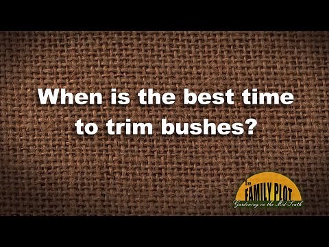 Q&A - When is the best time to trim bushes?