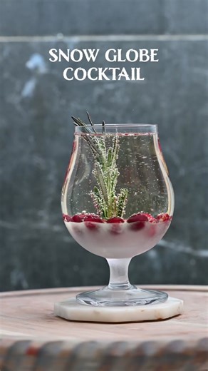 Sparkling Cranberry Champagne Cocktail Recipe