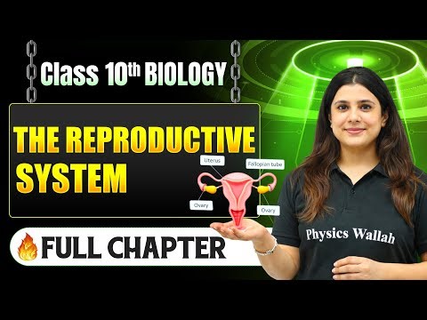 The Reproductive System Complete Chapter in One Shot | Class 10 Biology | ICSE Board | LEGEND 2026