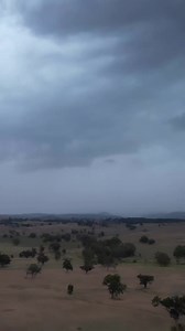 3.9K views · 45 reactions | Bureau of Meteorology on Reels | Facebook