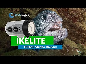 Ikelite DS165 Underwater Review | Upgraded Beam Quality!
