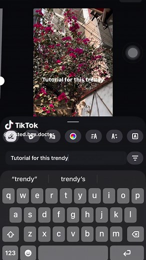 How to Get This Viral Font: A Step-by-Step Tutorial
