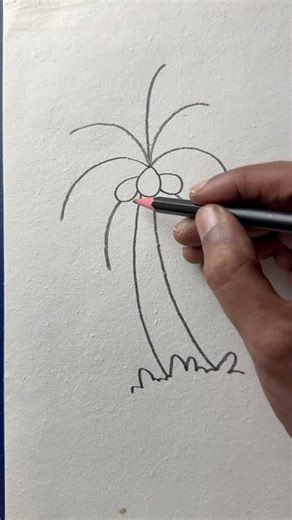 Simple and easy coconut tree drawing with pencil