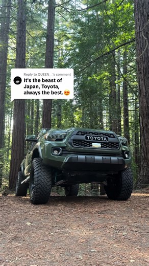 Exploring the 2022 Tacoma: Features and Experiences