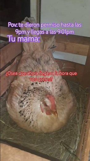 ¿Donde estabas?🗿🗿 #dance #sistersonfire #look #outfit #fashion #ootd