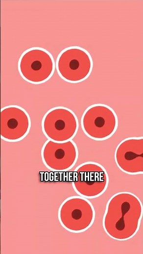 🤯The Truth About Teleportation