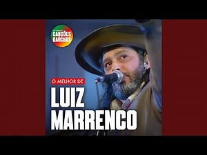 MEUS AMORES (AO VIVO)