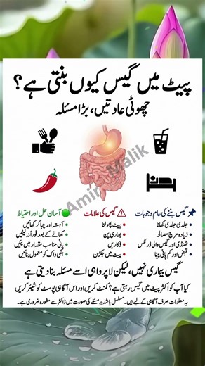 Why Does Gas Build Up in the Stomach?Small Habits, Big Digestive Trouble