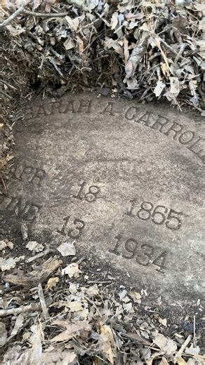 113K views · 2.2K reactions | Uncovering a forgotten grave | Adventures Into History | Facebook