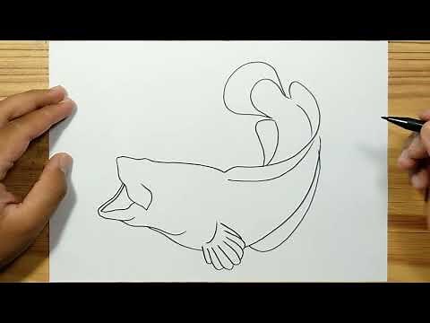 How to draw SNAKE HEAD FISH