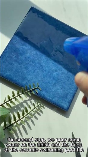 WOL96016x6 inkjet pattern swimming pool tile style