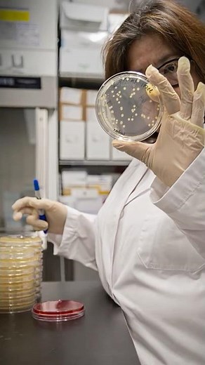 Emery Pharma Antimicrobial Testing | MIC, MBC, MFC, MBEC & Resistance Profiling Experts