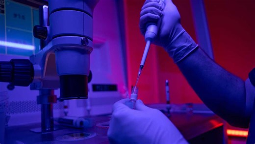 Scientists report creation of first human synthetic model embryos