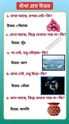 কোন জিনিসের মাথা আছে মগজ নেই?#gk #ধাঁধা