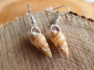 Handmade Seashell Earrings: Sterling Silver Hooks, Coastal Jewelry - Etsy